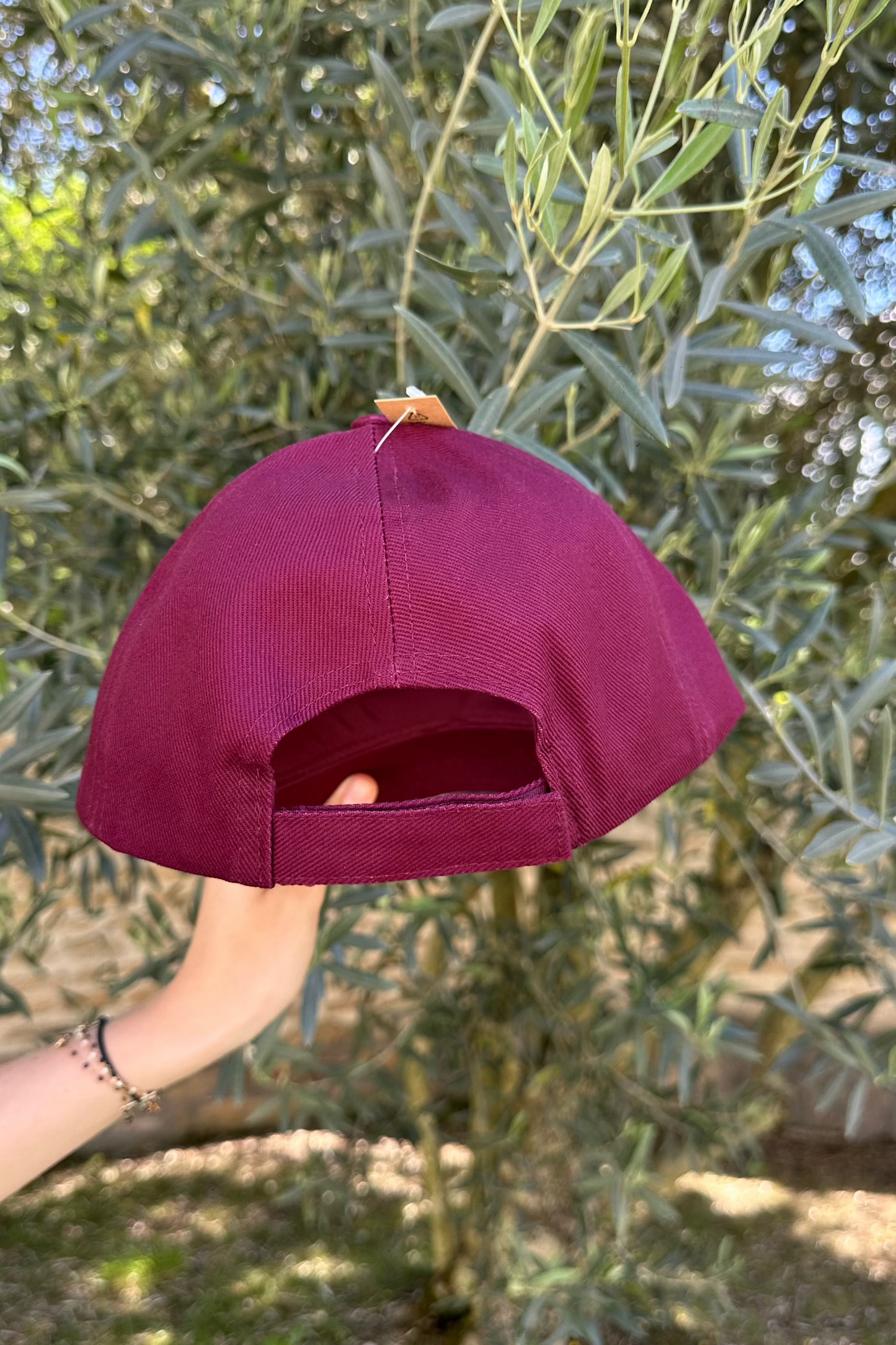 Casquette Les Dijonctés